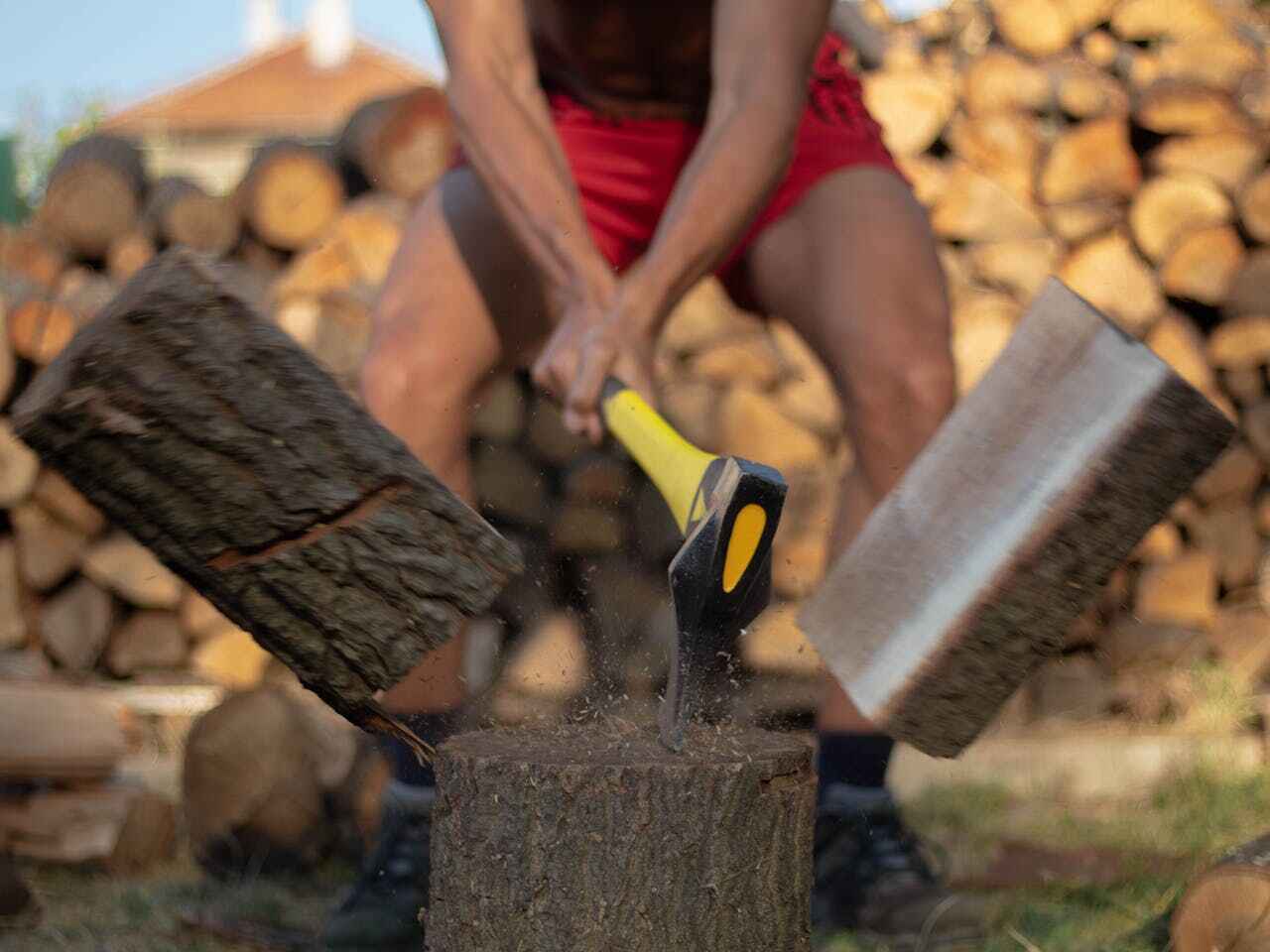 The Steps Involved in Our Tree Care Process in Chico, TX